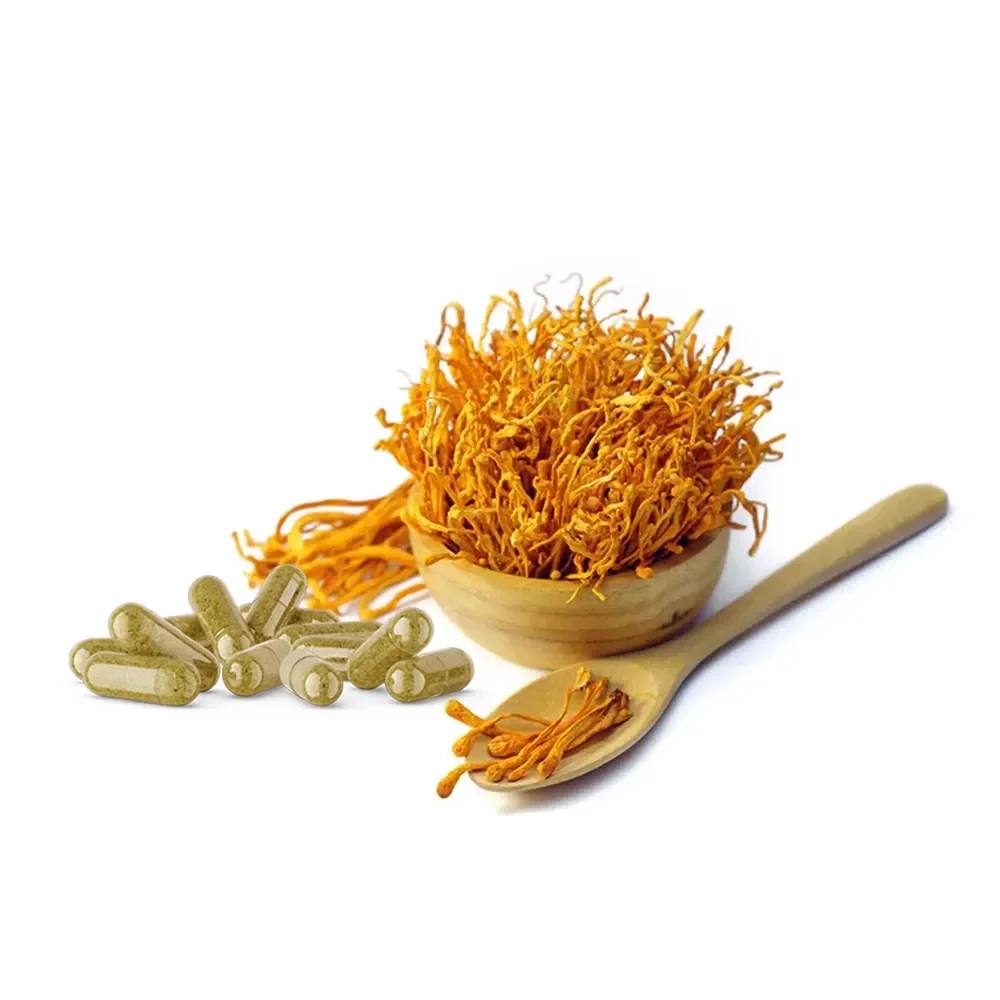 Herbal Cordyceps Extract Capsule OEM Nootropics Brain Supplement Lions Mane Supplement Mushroom Capsules for Memory