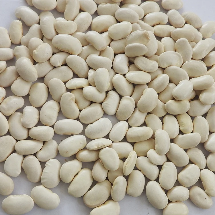 Wholesale Chinese 2021 crop origin in Yunnan Large white kidney beans