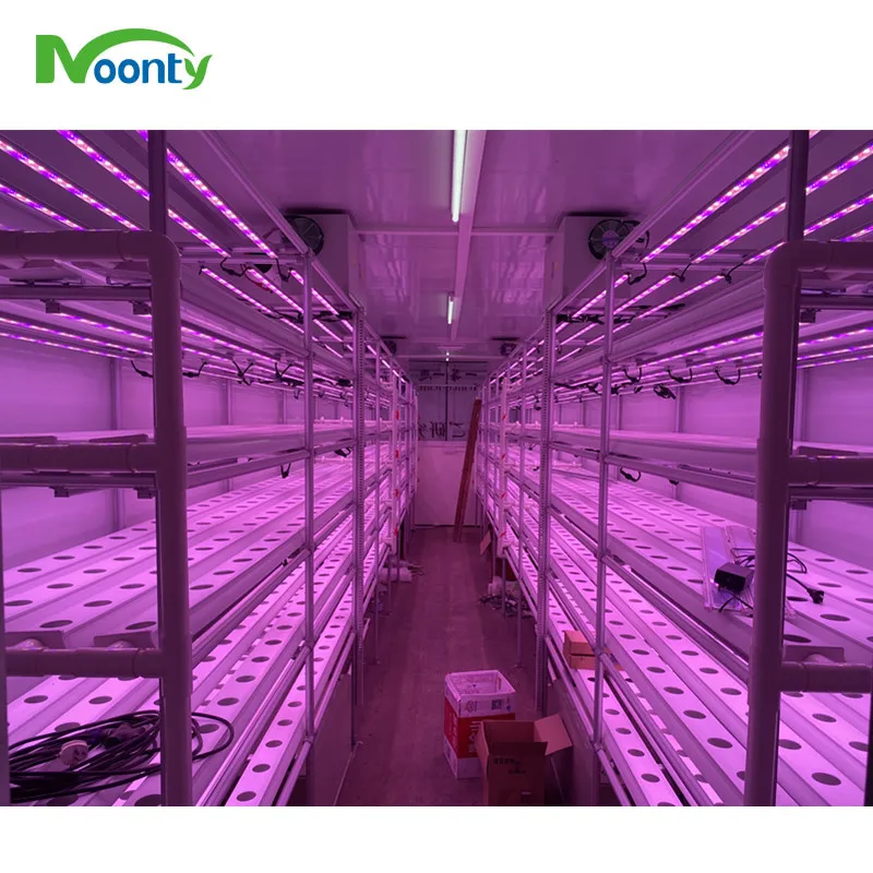 Smart NFT Farms Vertical Hydroponic Shipping Farming Container NFT Hydroponic System