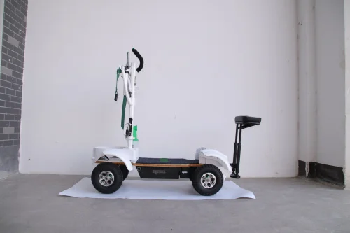 cheap electric golf lithium battery board