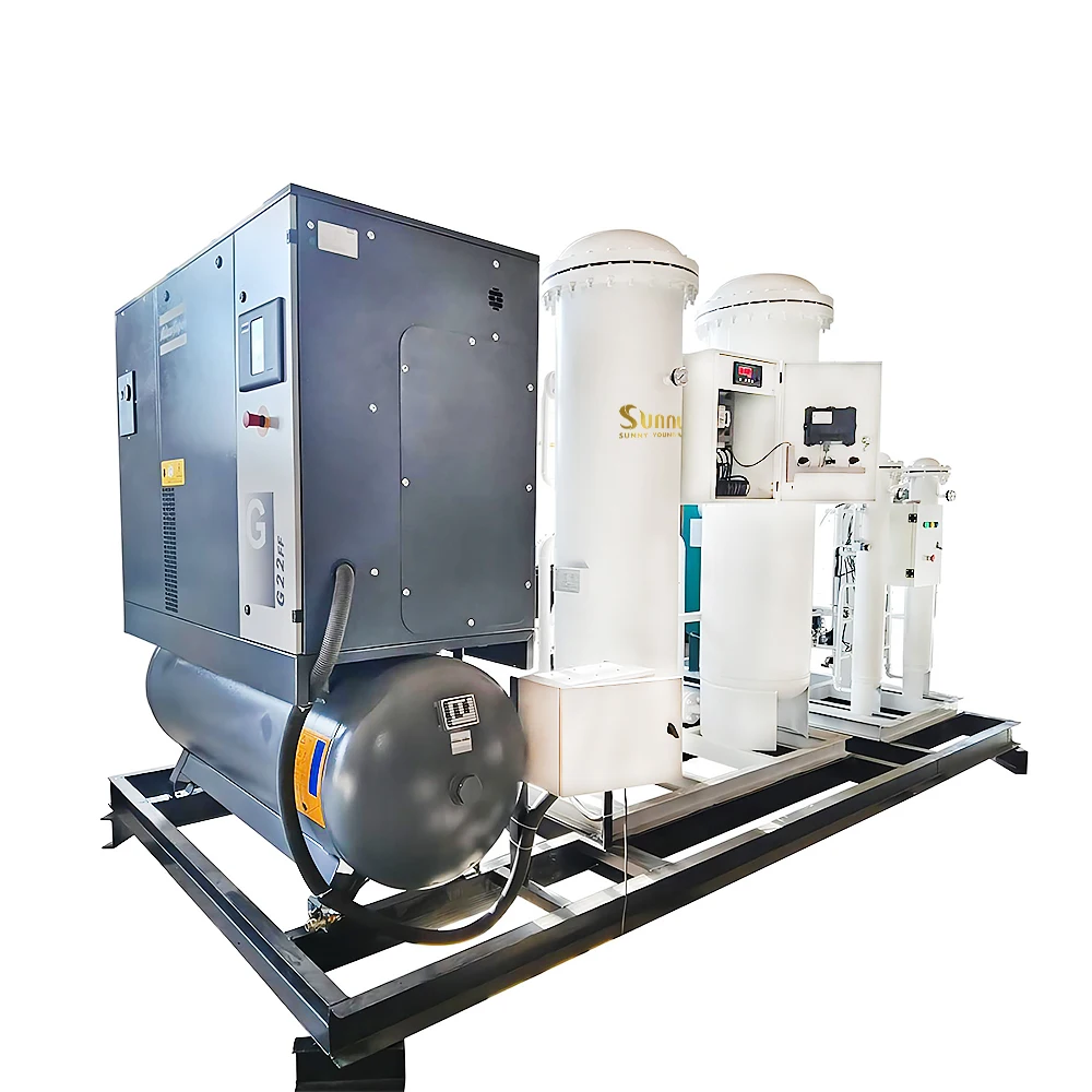 New 1Nm3/hr-100Nm3/hr PSA Oxygen Gas Plant with Pump Motor and PLC Core Components for Manufacturing Farming Hotel Industries