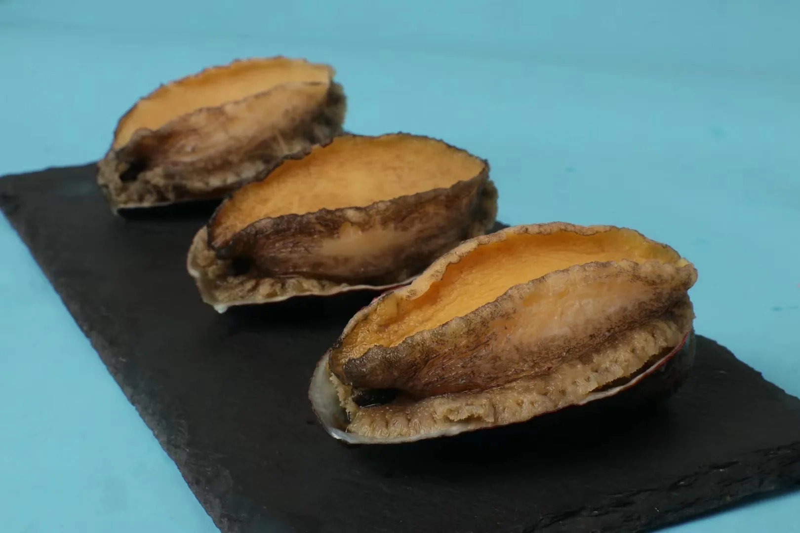 
Frozen cooked abalone in shell gutted and cleaned farmed dired abalone 