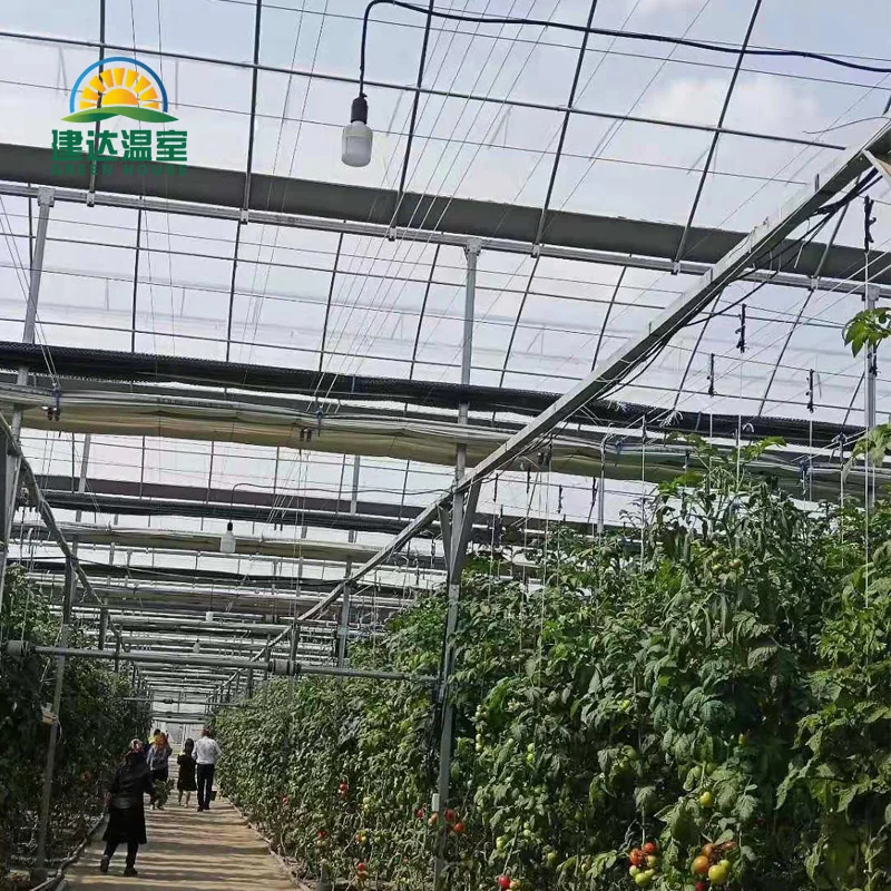made in china SUNSGH greenhouse low price Multi-Span Agricultural PO film greenhouse china green house