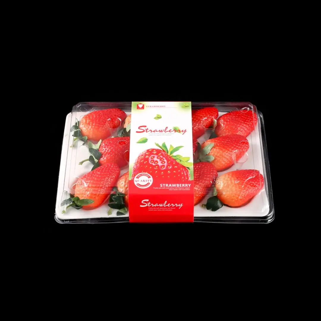 Manufacturer Disposable Transparent PET Strawberry Packaging Foam Tray Clear Plastic Fruit Box
