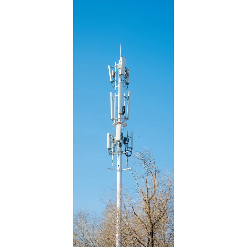 Communication Antenna 30m Self Supporting Mast Wifi Tower Telecom Price Supported Steel Cell 40m 30 Meter Monopole Tower