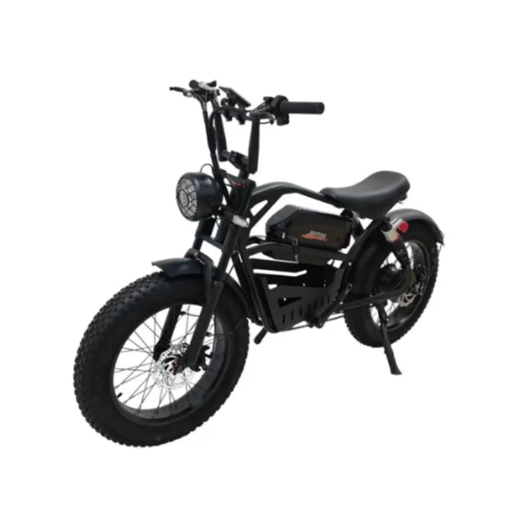 Hot Sales New Fat Tire 20' 7 Speed E bike 350W 500W Retro Enduro E-Bike Electric Bike Adult Steal TH Bomber Mountain Snow Bike