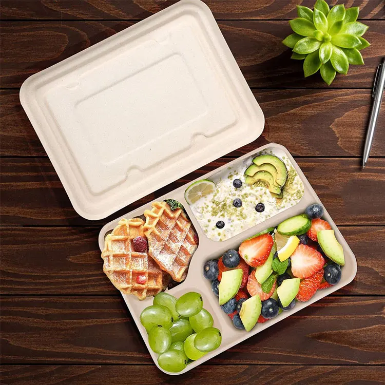Eco-Friendly Food Grade Biodegradable Sugarcane Bagasse Box Factory Price take away bento lunch food container box