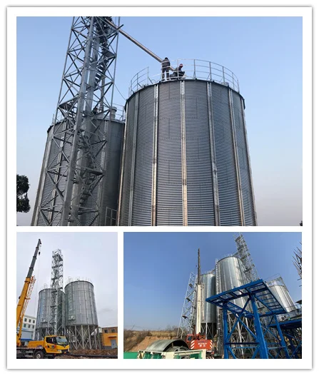 Grain Storage Silos 500-10000Ton Galvanized Steel Assembled Paddy Roce Silos