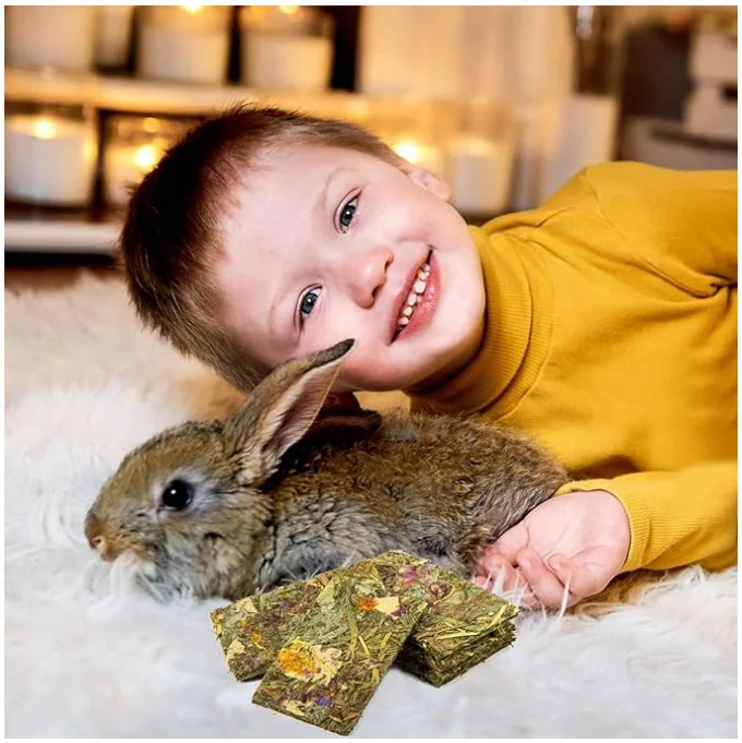 Bunny Chew Toys Timothy Hay Treats Bunny Treats Dwarf Hamster Treats Bunny Rabbit Chew Toys Teeth Hamster Chew Toys