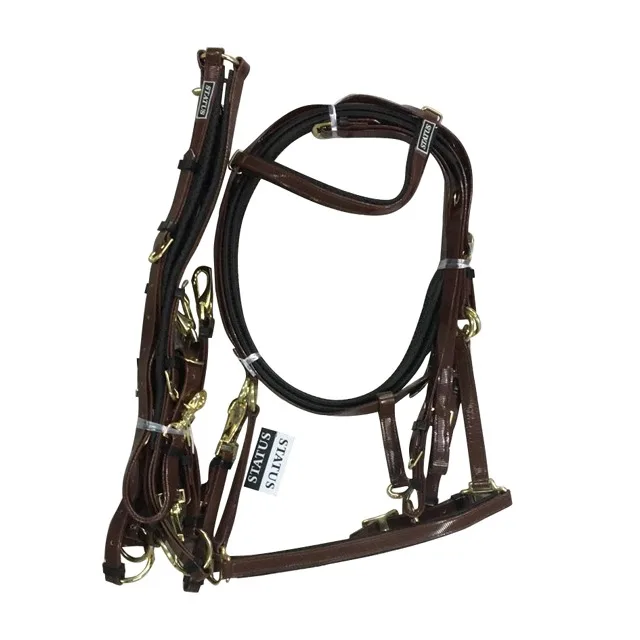 
Horse Bridles In PVC Material In Many Colors 