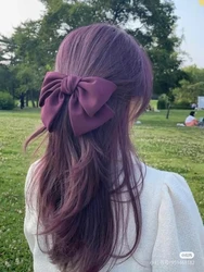 Professional Semi Permanent Hair Colour Factory Wholesale Price No Ammonia Hair Dye