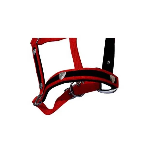 Top Quality Side Pull Rope Training Halter Custom Nylon Rope Horse Halter Lead Set Pink Black Green Print Red White Orange Blue