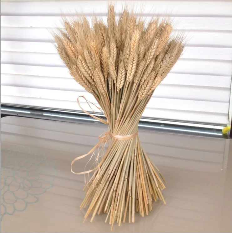 High Quality Dry Wheat Grass Wreath Natural Style Silk Flower Home Decoration Beautiful Branches Competitive Price Weddings