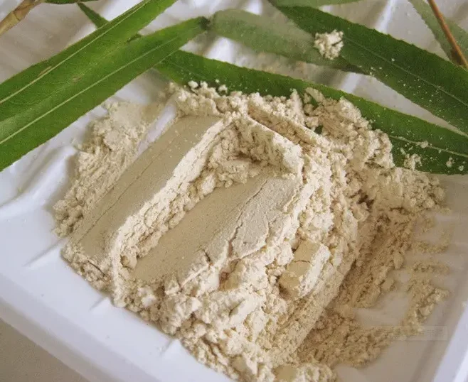 Seasoning powder mushroom flavor bouillon seasoning food grade flvor enhance for cooking