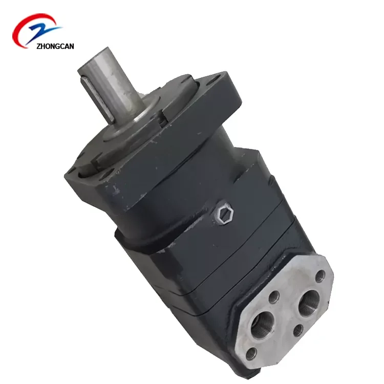 803075669 Hydraulic Pump HP031B578BI 0H20-25R-B07-1 Rotary Gear