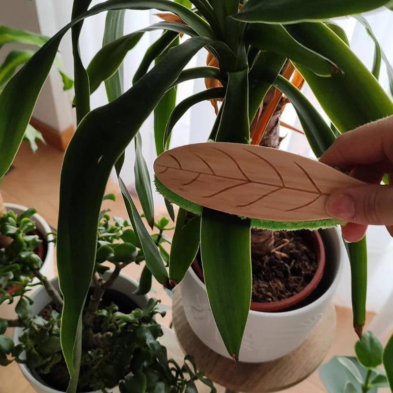 New Original Portable Wooden Hand-Held Green Brush Houseplant Leaf Cleaning Tongs
