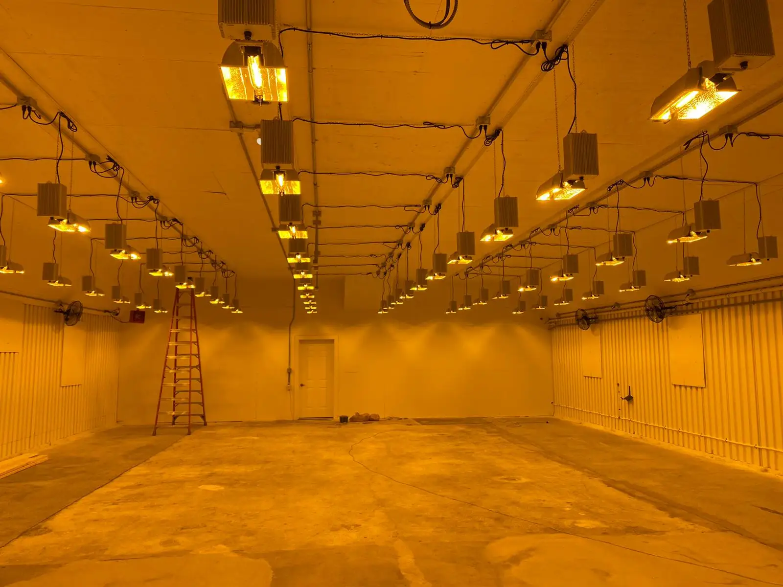 US Warehouse  In Stock Risen Top Seller 2021 Gavita 1000w Double Ended Hps Grow Light For Greenhouse with Electronic Ballast