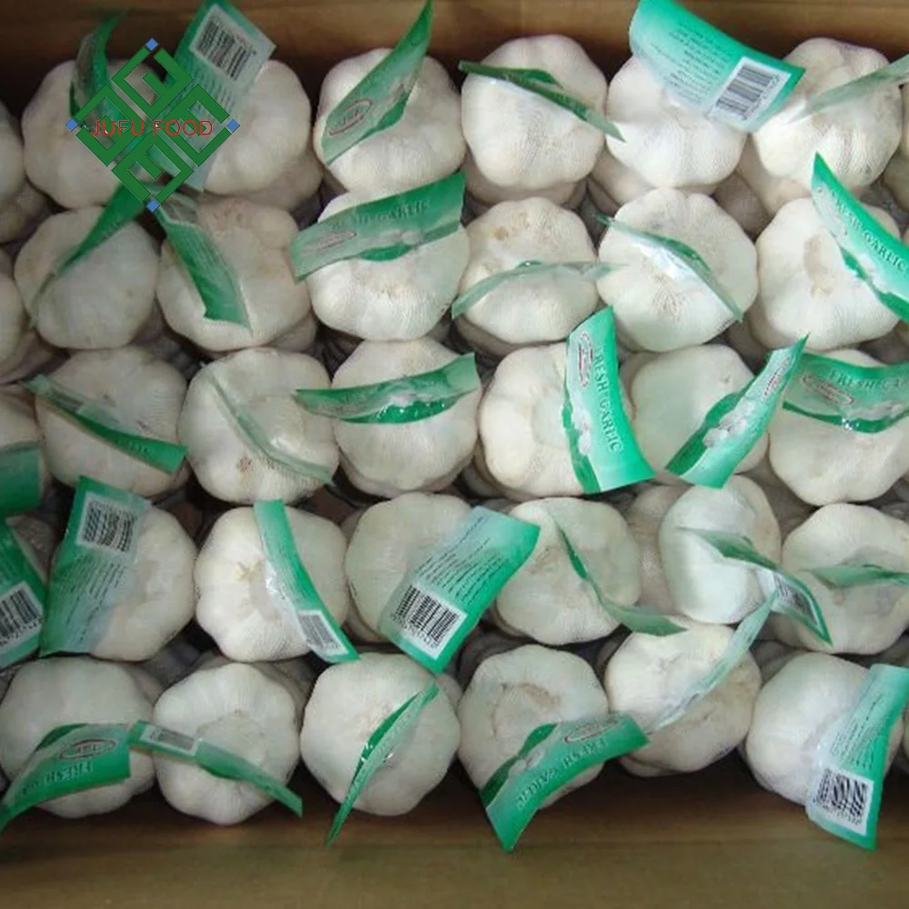 Свежий белый чеснок