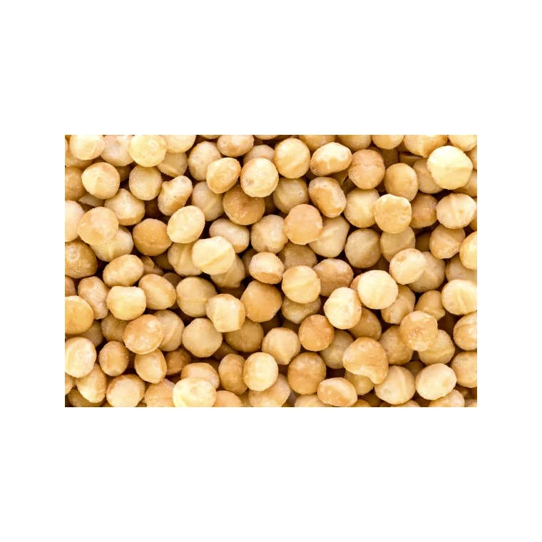 
Traditional wholesale macadamia nuts kernels price per kg for sale 
