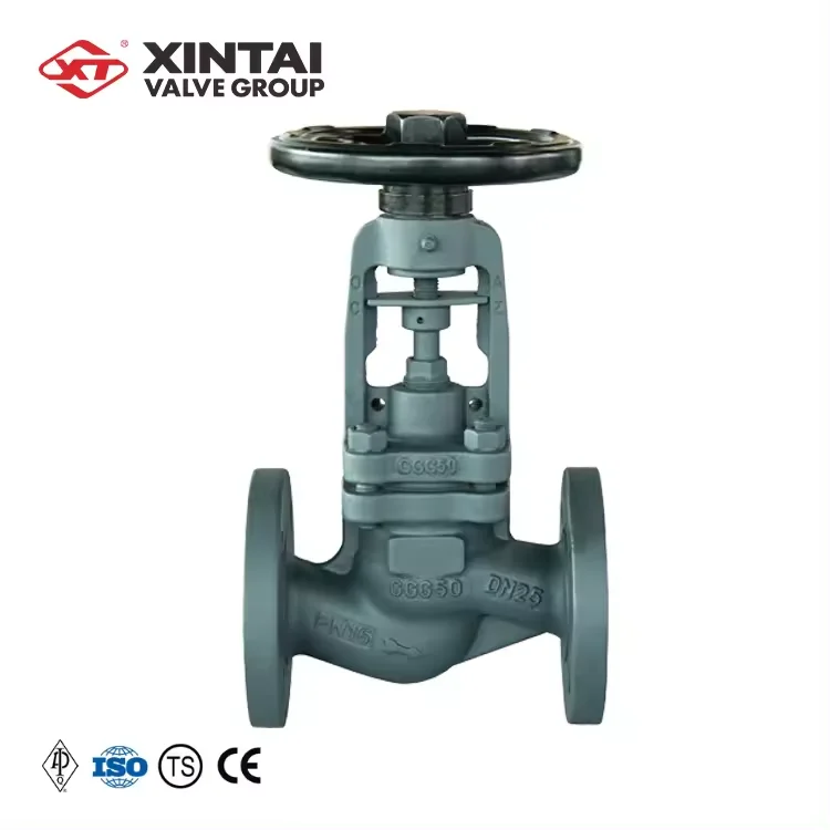 J41H-16P DN25 PN16 Custom Ductile Iron Cast Iron DIN S Pattern Flanged Bellows Seal Globe Valve