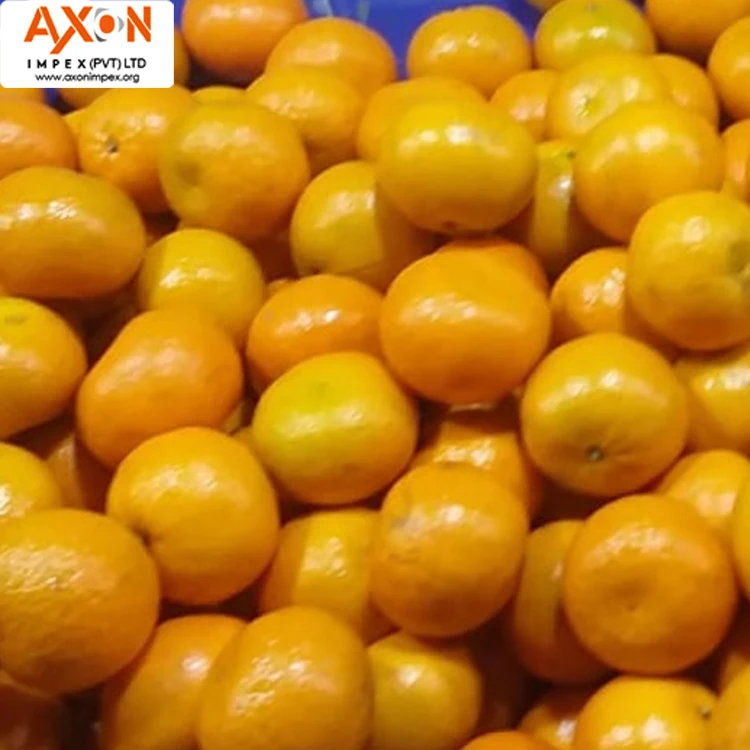 
Pakistani Mandarin, Special Offer for Russian Buyers Temple Orange Tangerine Nanfeng Oranges Honey Oranges Mandarin Orange 