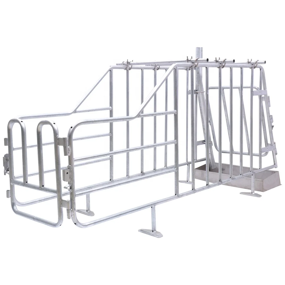 Galvanized pig swine sow gestation farrowing pig stall
