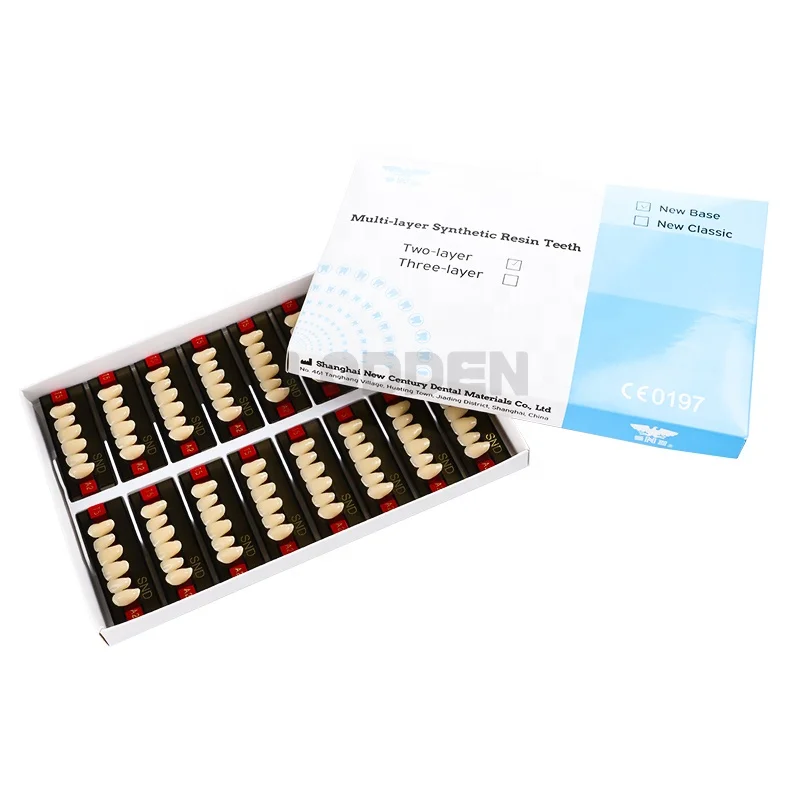 Synthetic Resin Teeth Full Set Two-Layers Teeth SND Factory Price Acrylic Resin Teeth For Clinic Lab