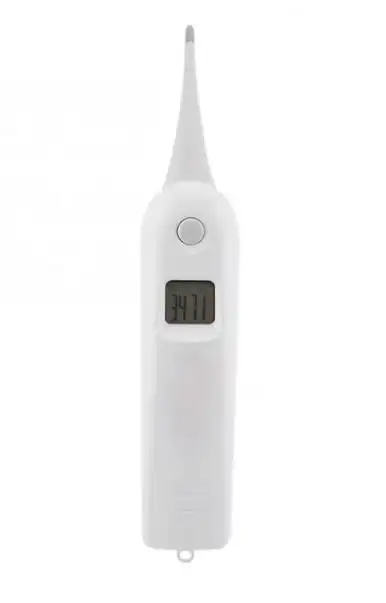 Accurate animal digital thermometer anal thermometer