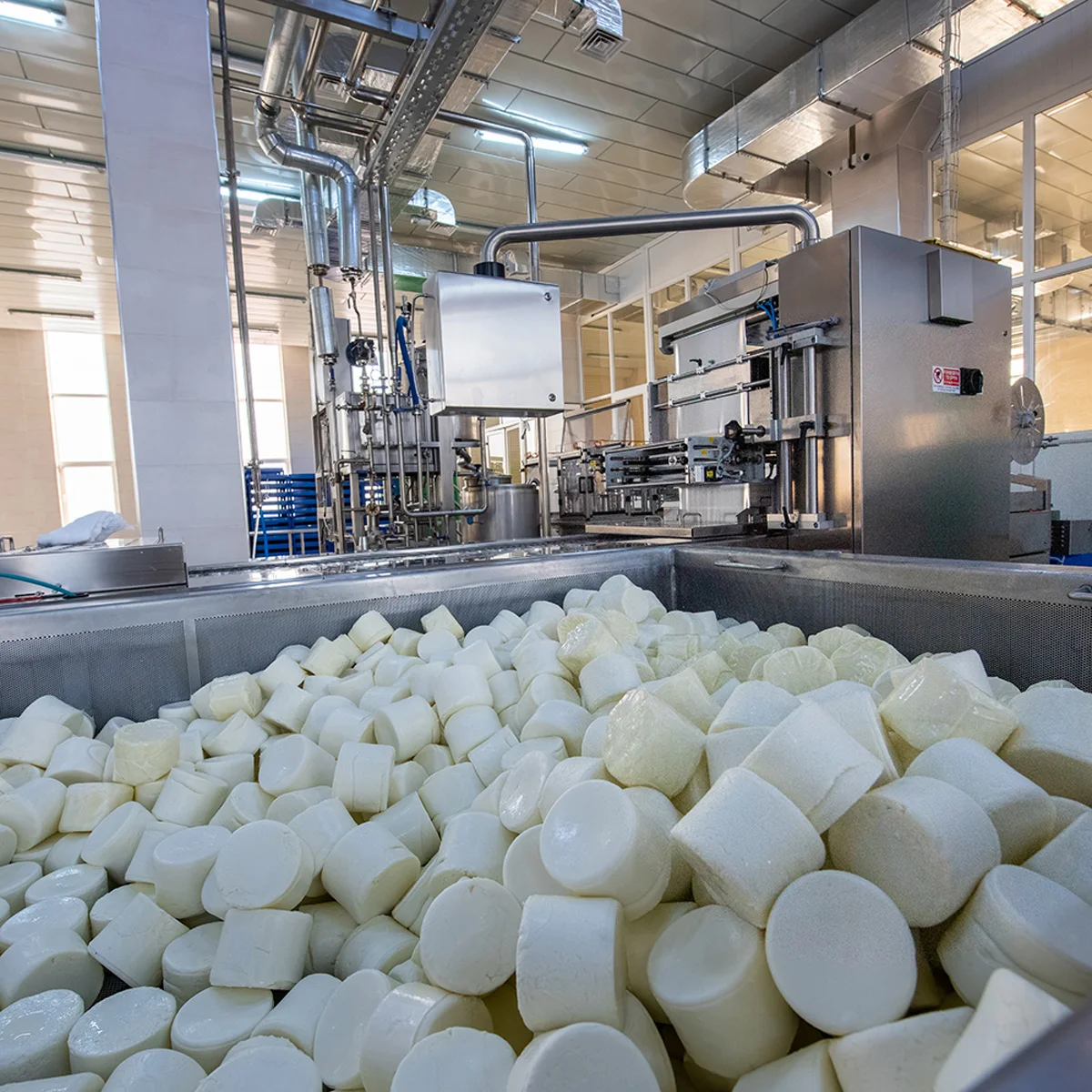 High quality Mozzarella for pizza 250 g for home cooking from Uzbekistan