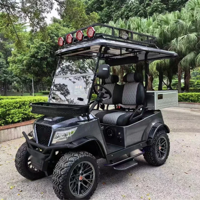 Off Road Pick Up 2 Seaters Golf Cart with Top Car Roof Rack Luggage Bag Storage Roof Box Cargo