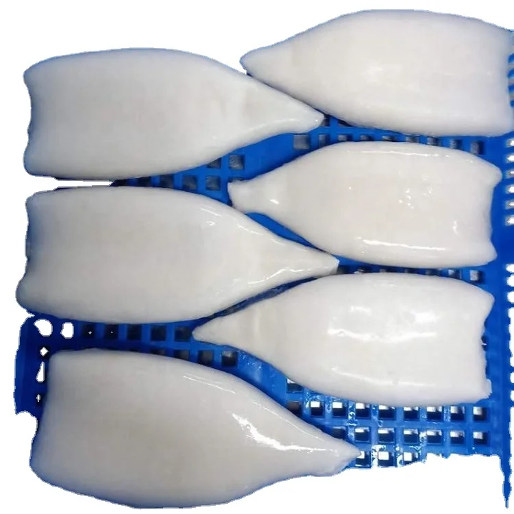 Good Sale Frozen Squid Tube