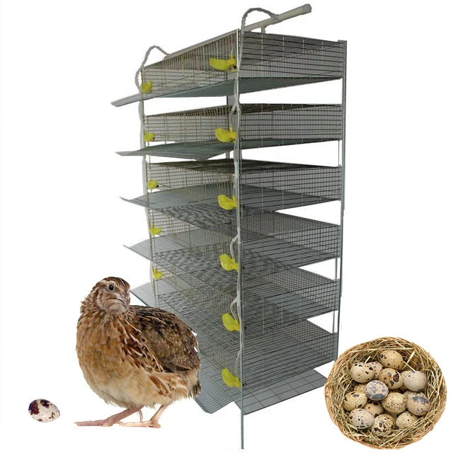 New Large Chicken Cages and Quail Cages for Sale Cages for Broiler Chicken