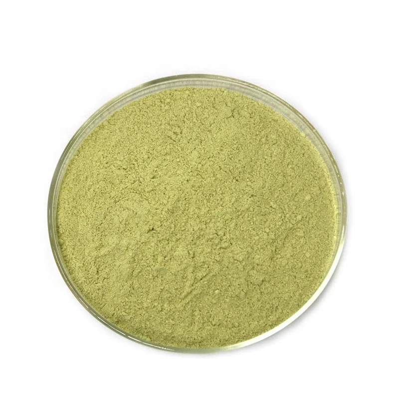 
Wholesale Green Tea Extract 98% Polyphenols 98% EGCG 80% Catechins 
