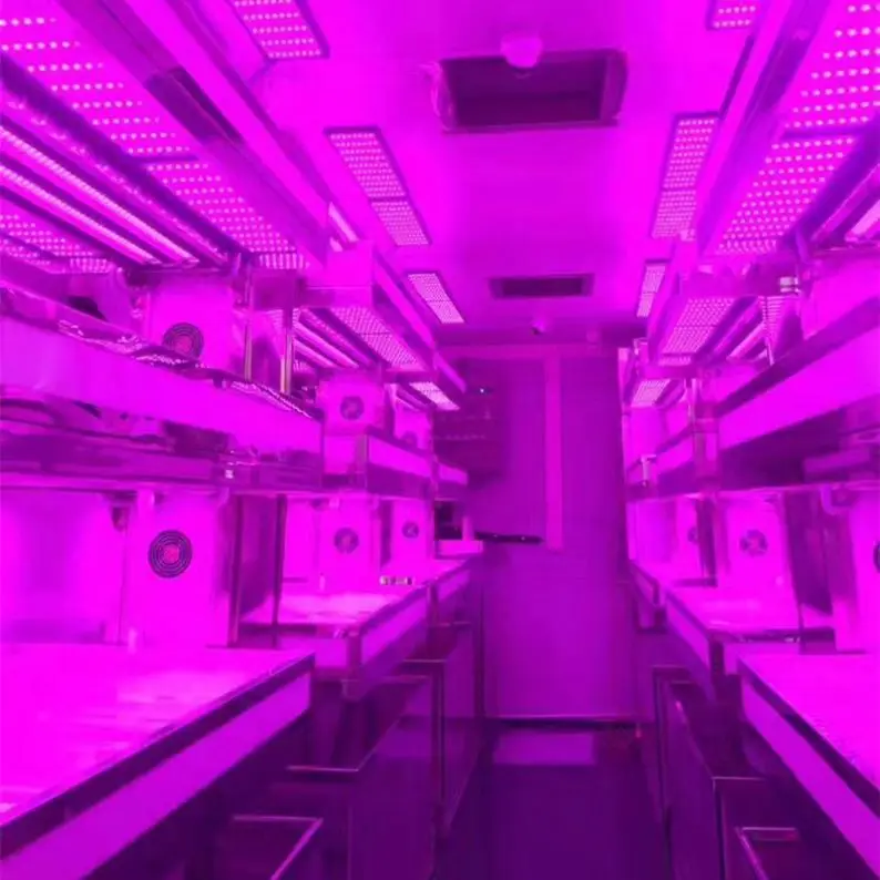 Customizable Green House Container with Hydroponic and/or Aeroponic Planting System for Vegetable growing