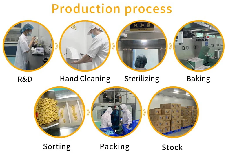 Mini biscuit Chocolate flavor wager cookies and crisp and yummy wafers crisp texture snack