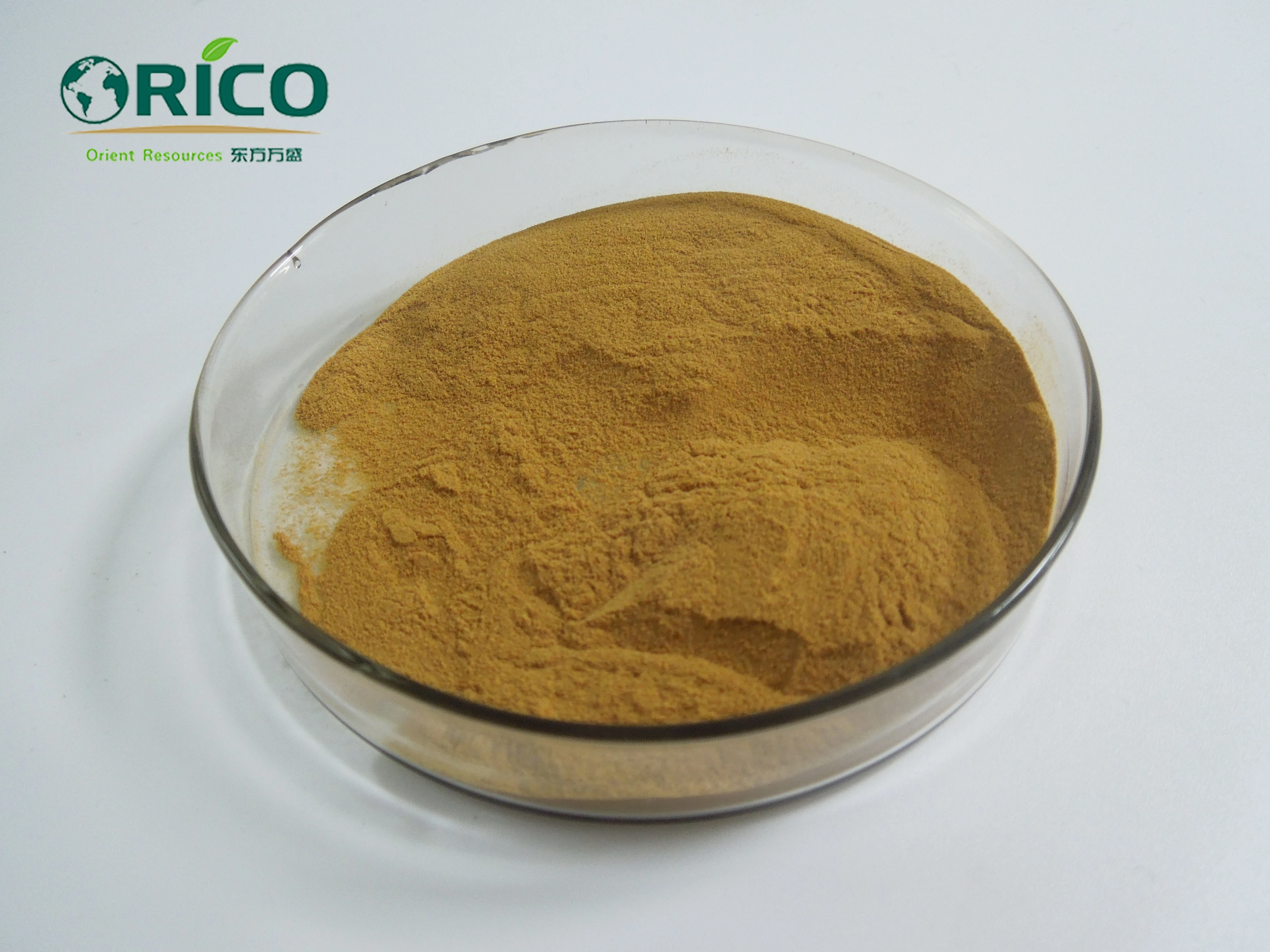 
Bacillus thuringiensis(Bt) 