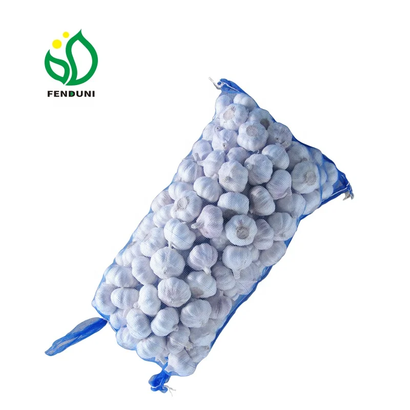 China/Chinese Good Garlic for Mali market 10kg/box 50mm/55mm