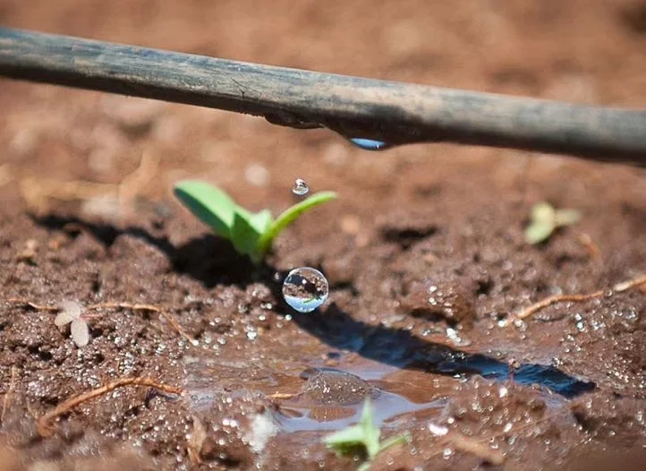  Pandora 16 mm Diameter Drip Irrigation Pipe Micro System