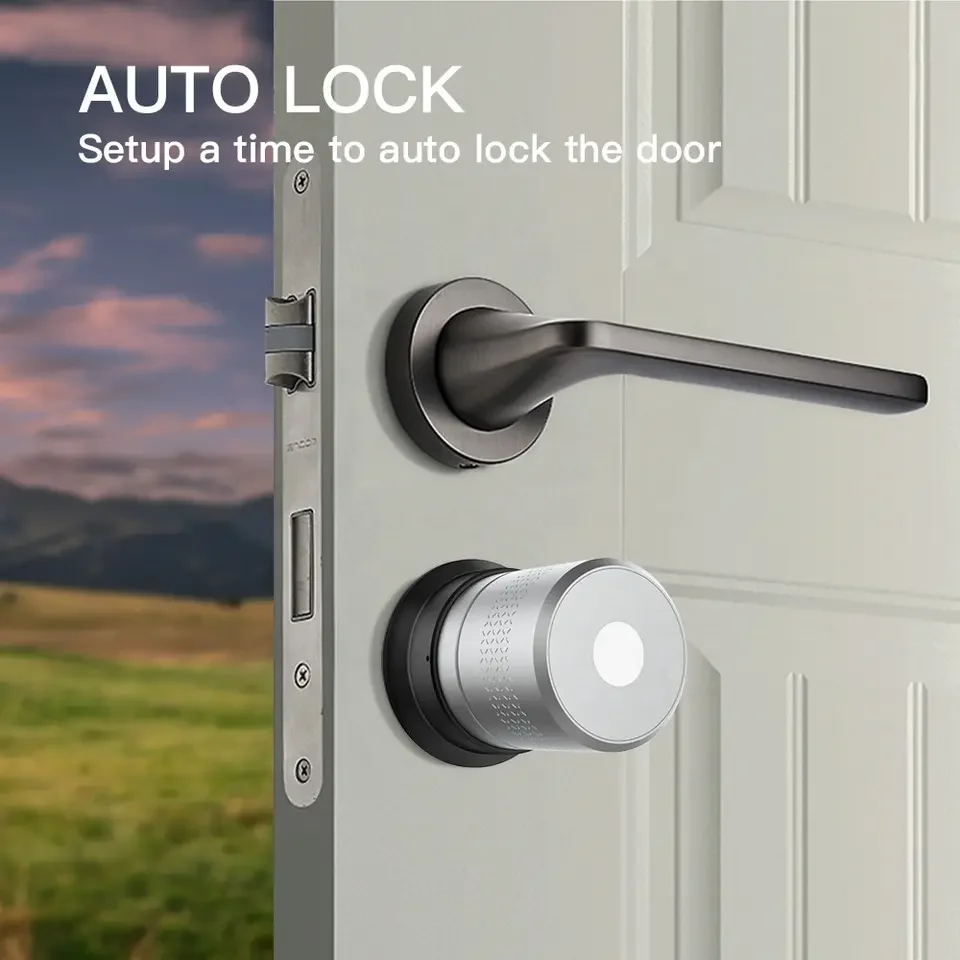 Tuya App Siri Key Manual UNLOCK Auto Smart Digital Lock EU Retrofit Lock Cylinder