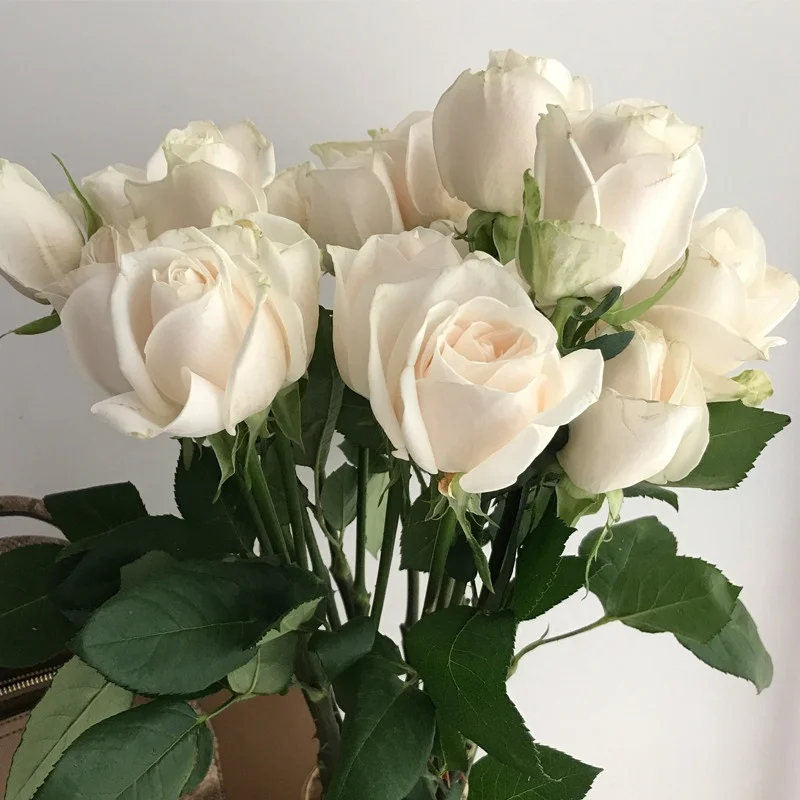 
Hot Selling Artificial Multiple Styles Blue Fresh cut Roses flowers For Wedding Party Club Ornament 