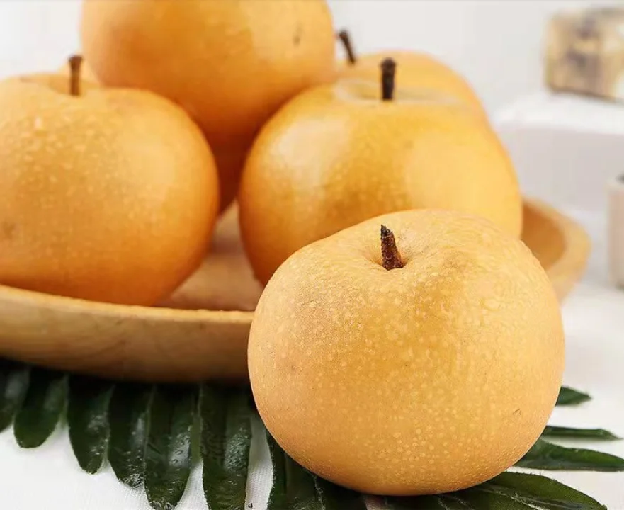Good Quality New Crop Fresh Fengshui Pear in Big Size