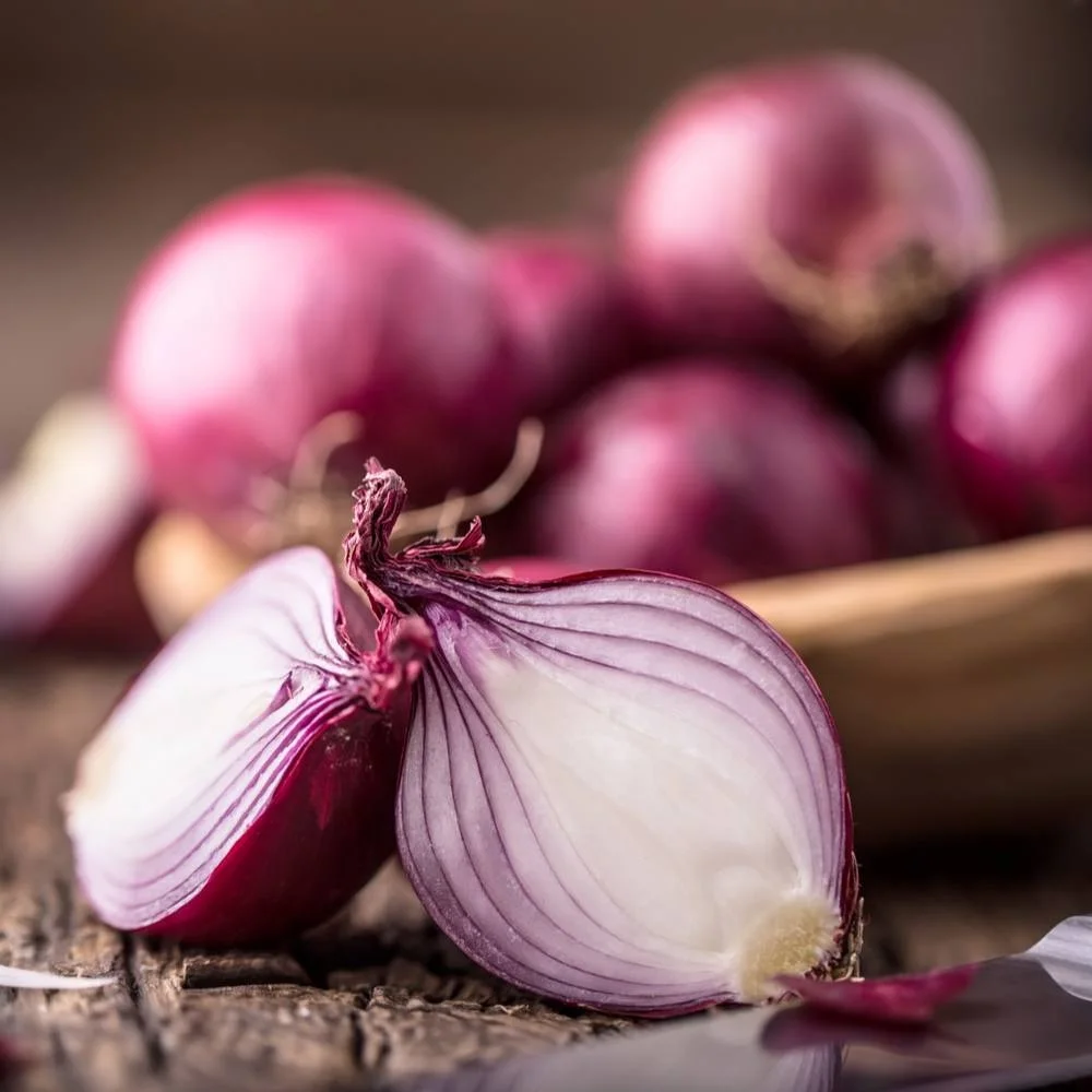 
High Export Quality Fresh Onion  (10000000354267)
