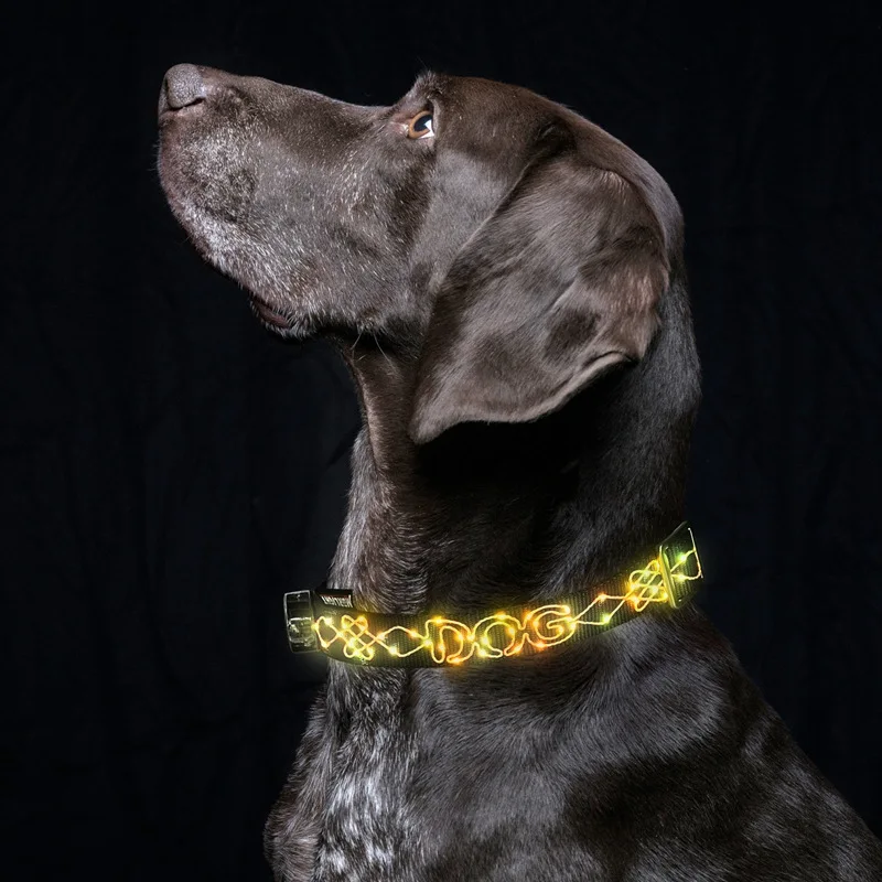 USB Charging LED Luminous Dog Scarf Night Warning Anti-Lost Zinc Alloy Buckle Polyester and Nylon with Ribbon Decorations