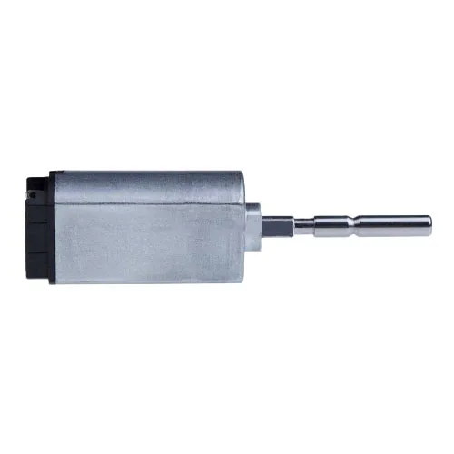 Electric Toothbrush Motor High Frequency Ultrasonic DC Motor
