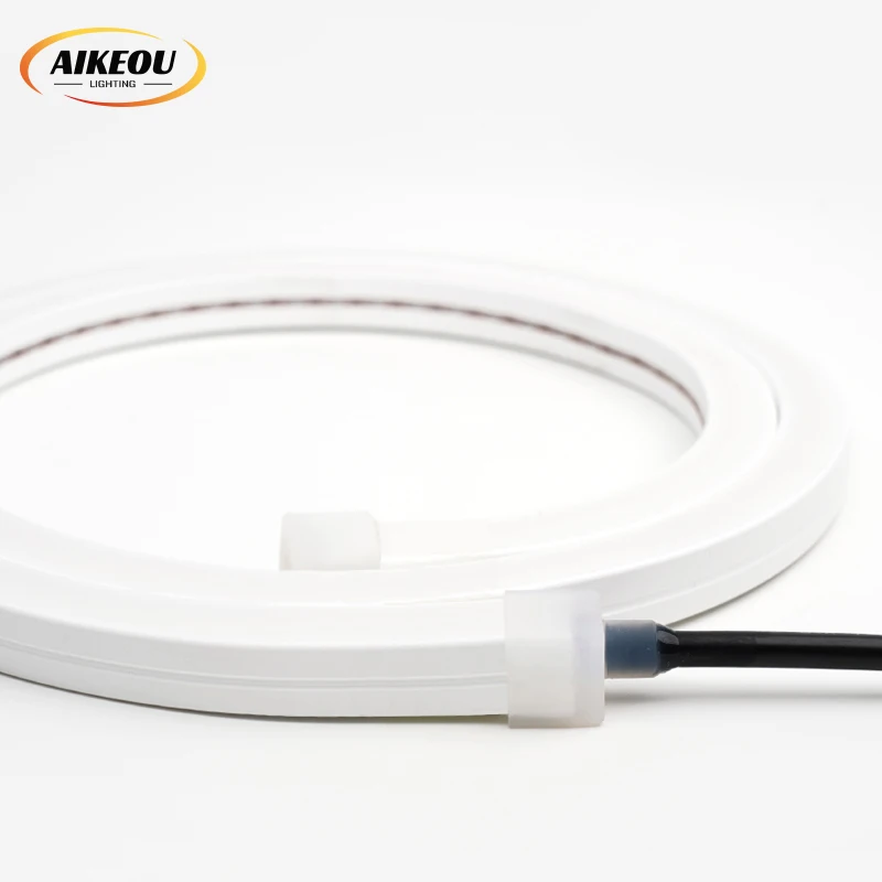 Waterproof Indoor and Outdoor LED Neon Strip Silicone Light Emitting Diode Neon 24V Flexible IP67 Outdoor Neon Lights