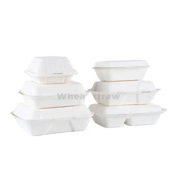 Restaurant catering wholesale disposable biodegradable Ecofriendly Box takeaway Lunchbox 9x7inch