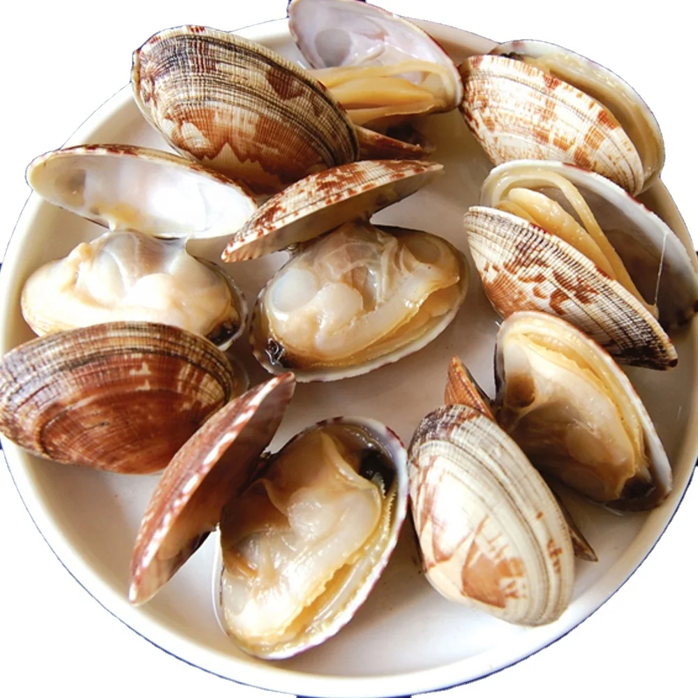 Manufacturers wholesale delicious frozen MSC certified yellow clam meat