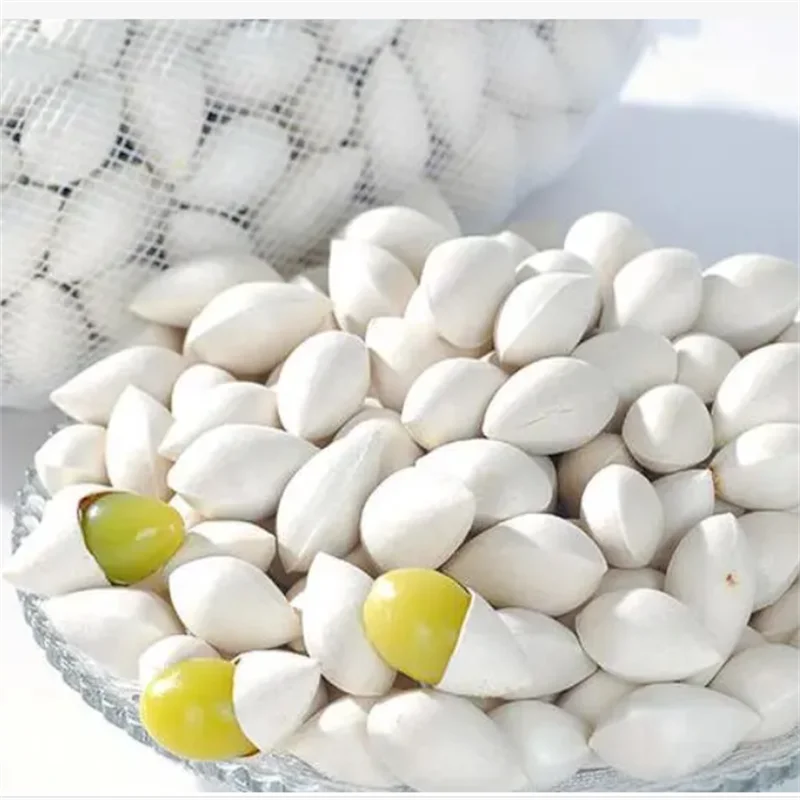 Wholesale 1/6 Wholesale Best Quality Ginkgo Nuts For Sale In Cheap Price 100% Natural Ginkgo