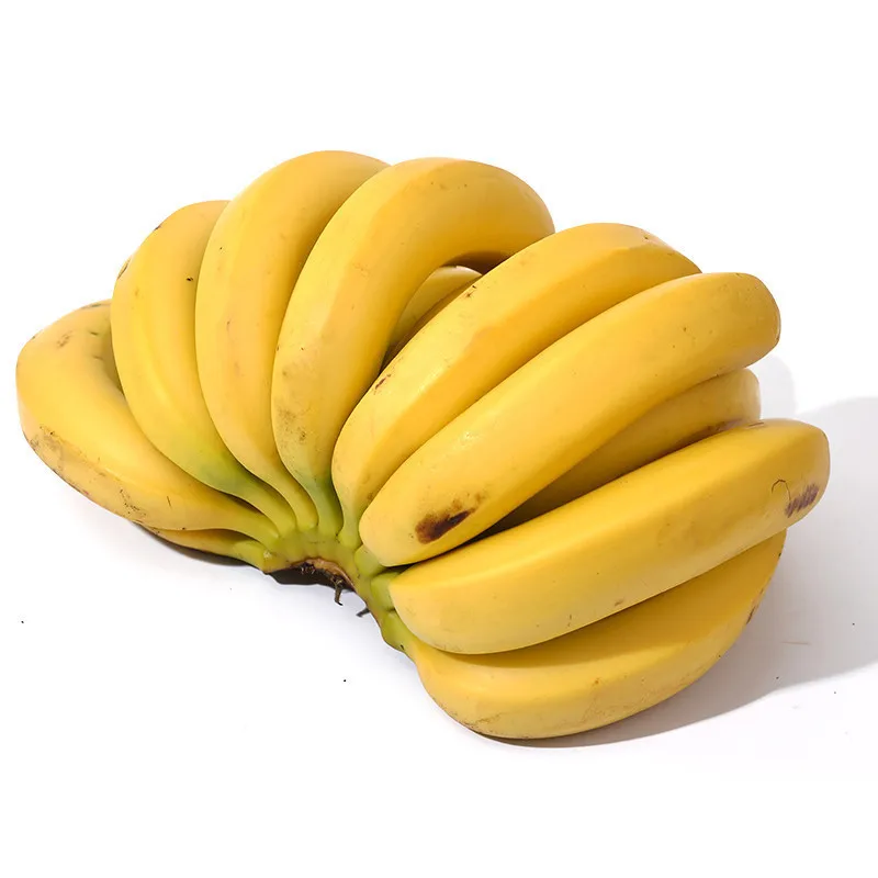 Hot sale naturally sweet organic fresh bananas