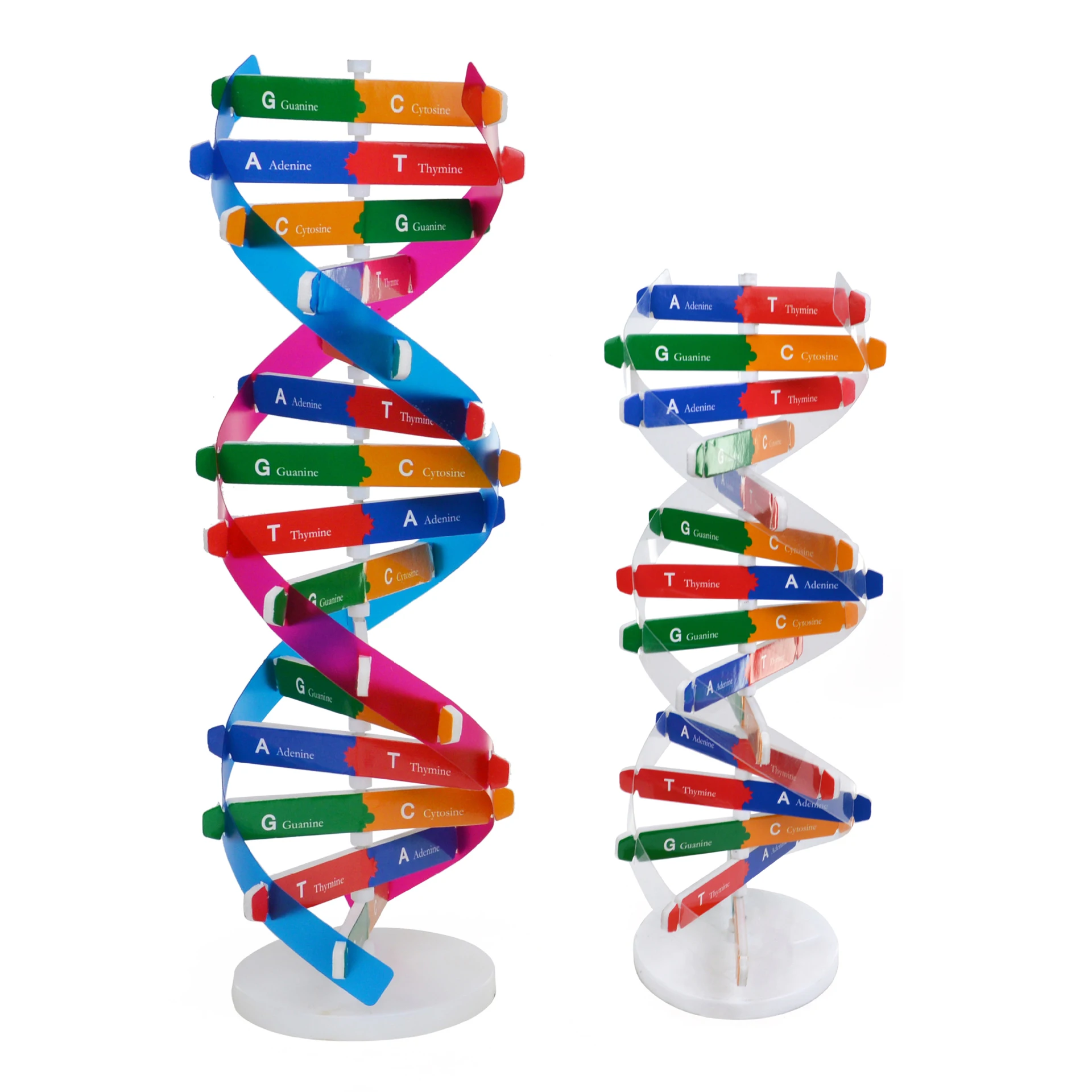 Science DNA molecule structure biological model manufacturer colorful DNA molecular model toy